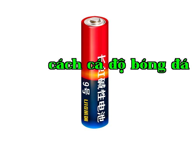 Loại 9