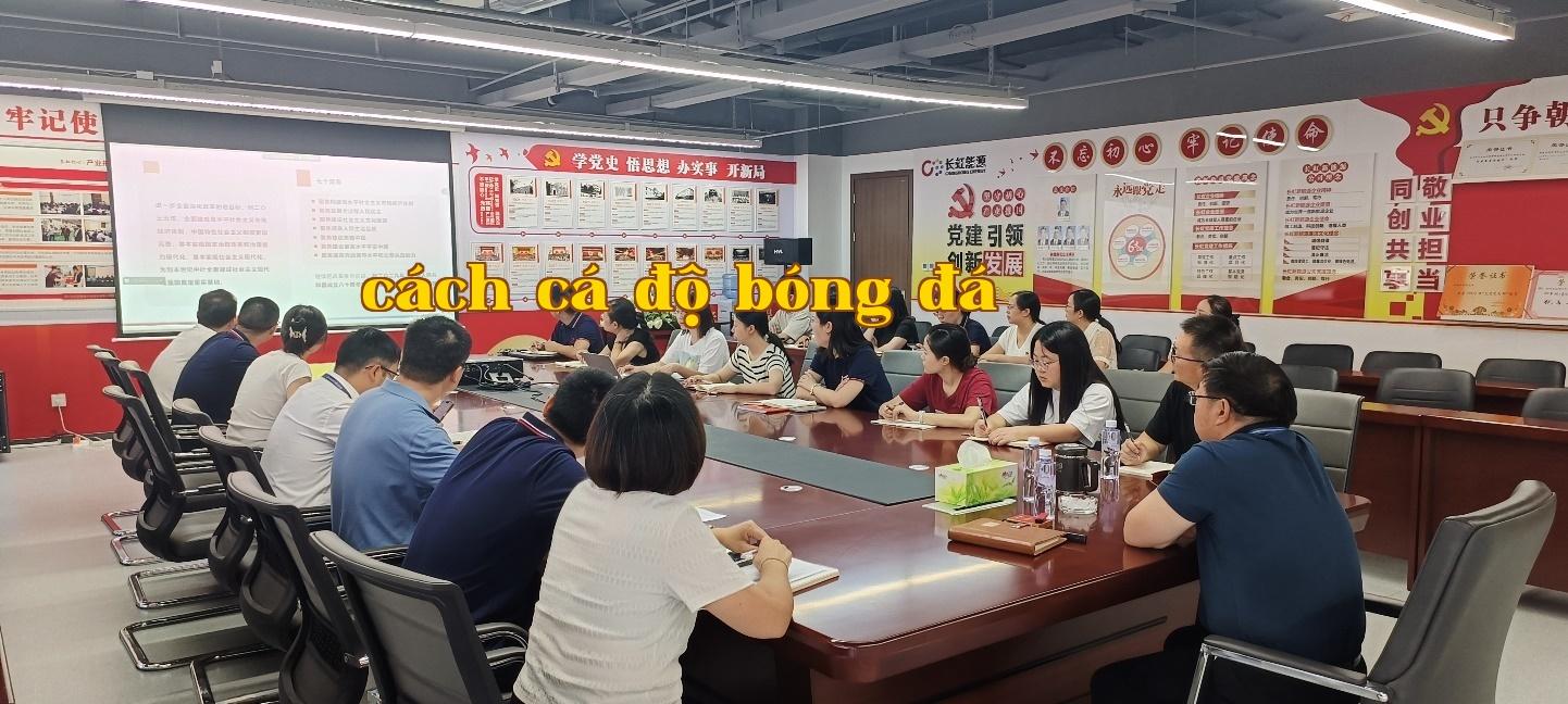 Chi bộ Tổng công ty Năng lượng Changhong học tập và phổ biến tinh thần Hội nghị toàn thể lần thứ ba Ban chấp hành Trung ương Đảng Cộng sản Trung Quốc khóa XX, kiên trì đổi mới dẫn dắt nâng cao hiệu quả kinh doanh