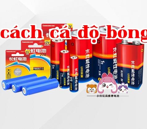 Công ty Cổ phần Công nghệ Năng lượng Changhong Sichuan