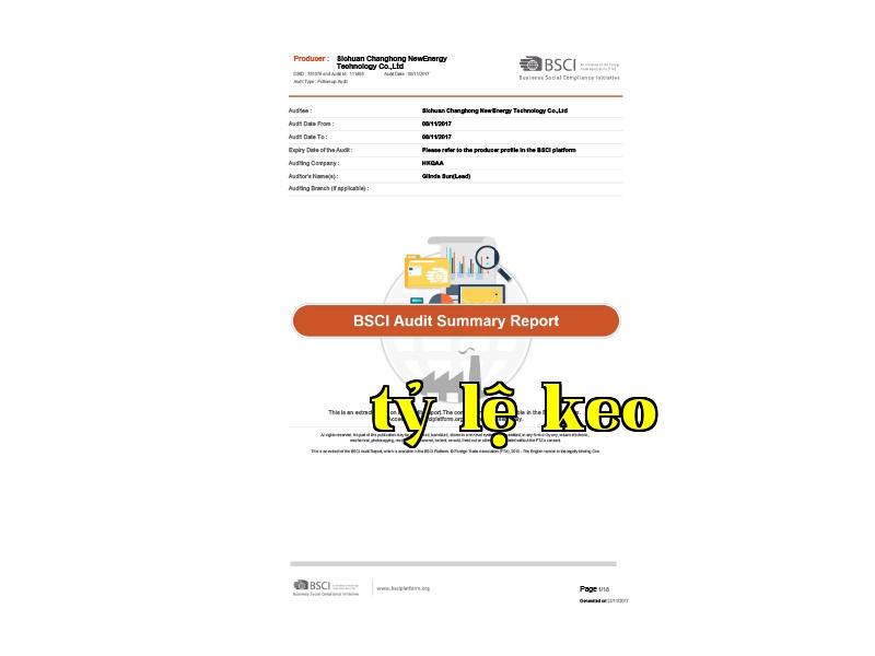 SummaryAuditReport2017 SummaryAuditReport2017