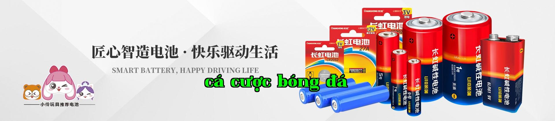 Công ty Cổ phần Công nghệ Năng lượng Changhong Sichuan