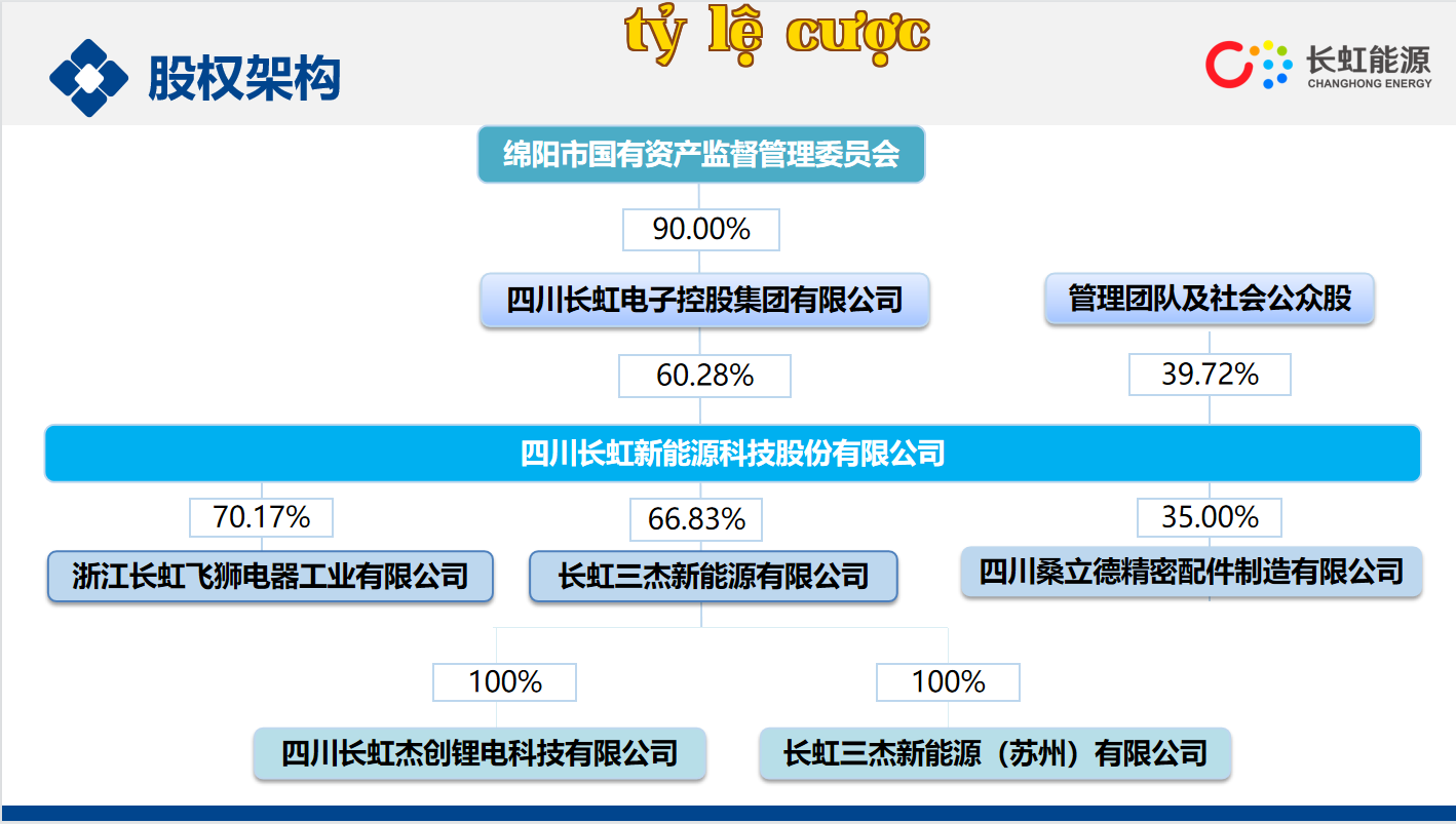 Cấu trúc sở hữu cổ phần