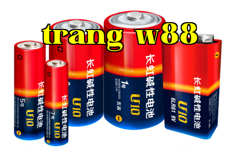 Một bản đồ quy trình sản xuất pin phản ánh sự cẩn trọng