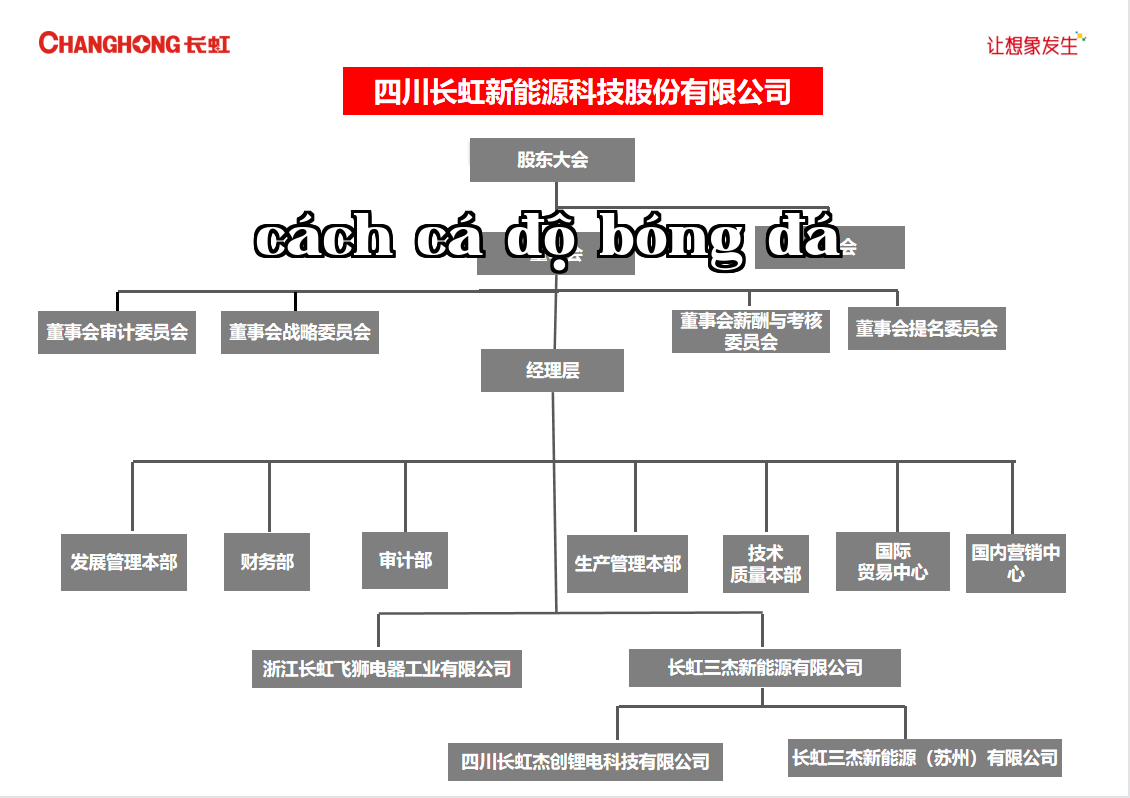 Sơ đồ tổ chức của Công ty Cổ phần Công nghệ Năng lượng Trường Giang Tứ Xuyên